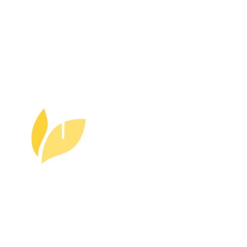 Acupunctuur Dineke Gast Acupunctuur Almelo